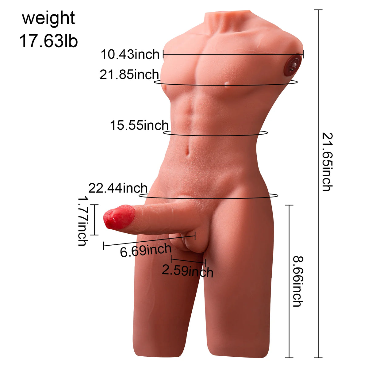 Axel：17.6lb Mal Sexdoll Torso for Gay Couples Flexible